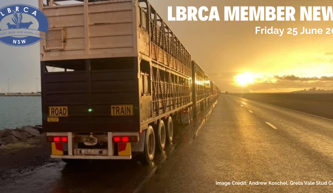 LBRCA Member News