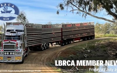 LBRCA Member News